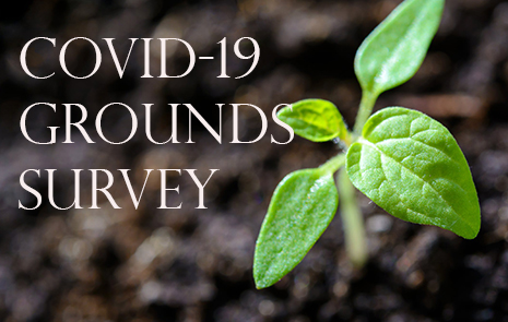 Graphic of plant coming up from the ground with "COVID -19 Grounds Survey"